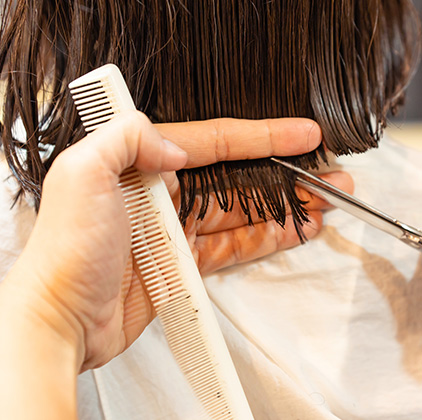 人気メニューランキング