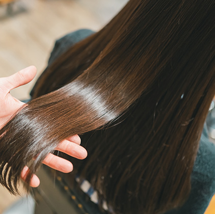 人気メニューランキング