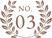 no3